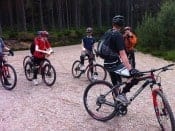 Mountain bikes