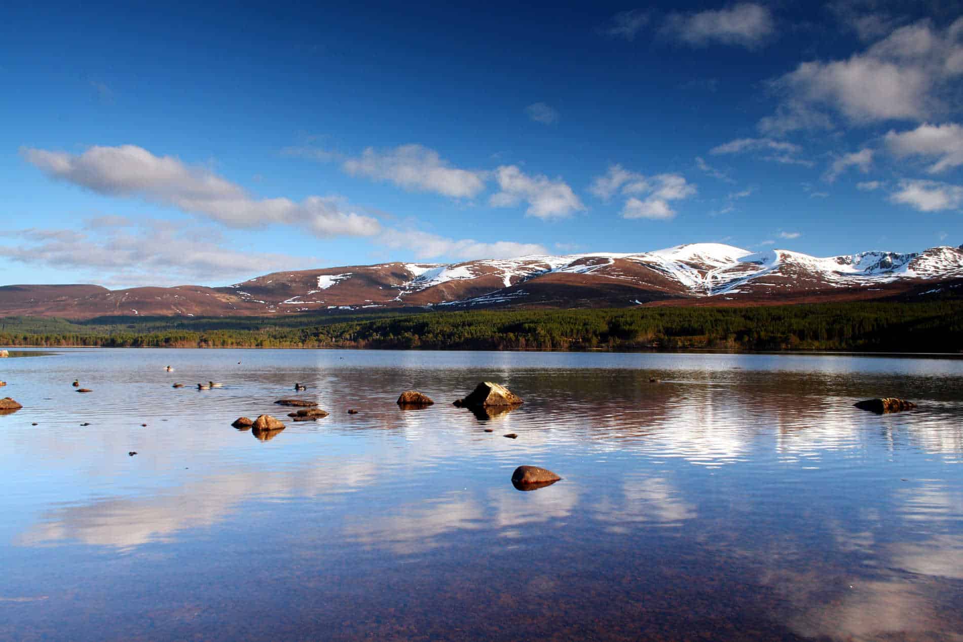 Ardlogie Guest House Aviemore